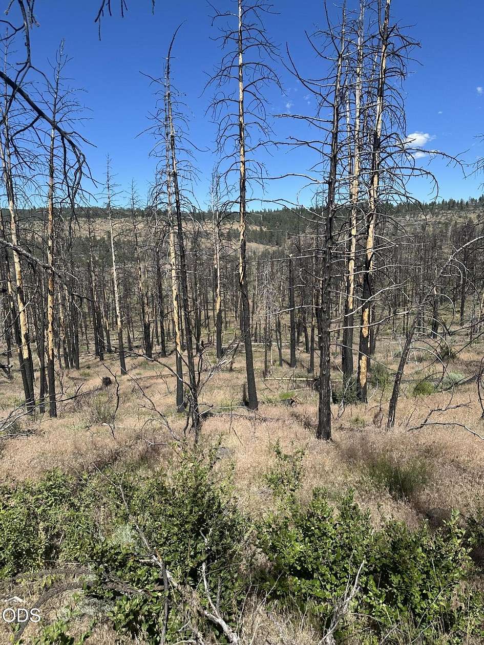 6.62 Acres of Residential Land for Sale in Bonanza, Oregon