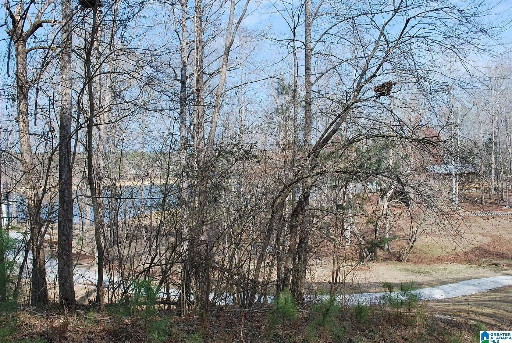 8 Acres of Residential Land for Sale in Lineville, Alabama