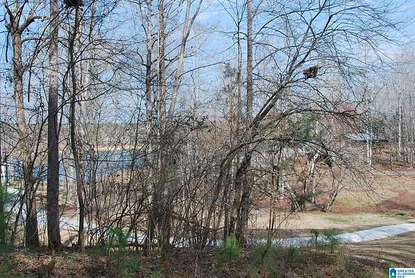 8 Acres of Residential Land for Sale in Lineville, Alabama