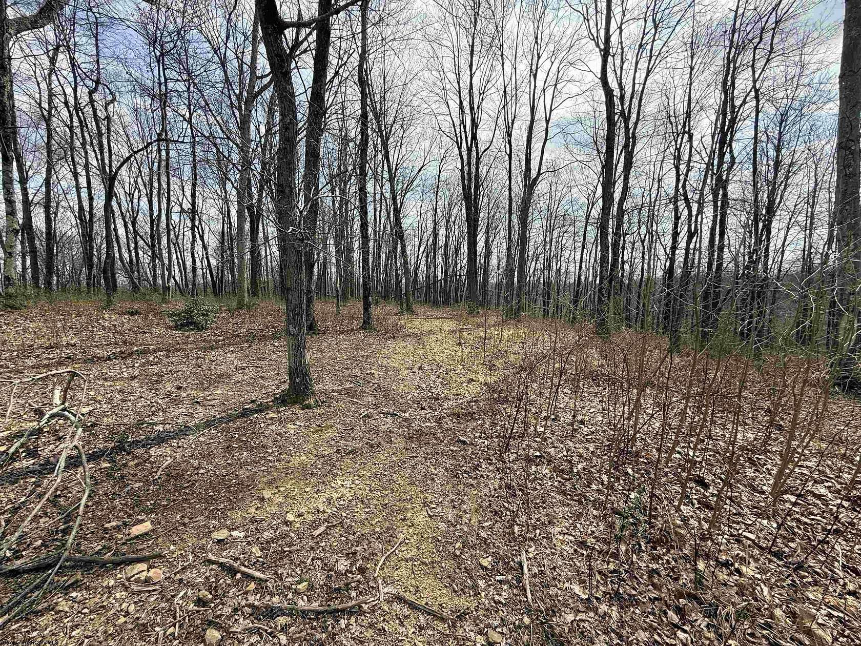8.36 Acres of Residential Land for Sale in Bridgeport, West Virginia