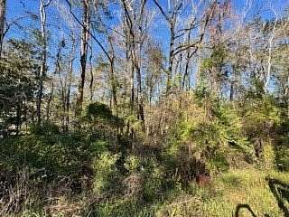 4 Acres of Mixed-Use Land for Sale in Sopchoppy, Florida