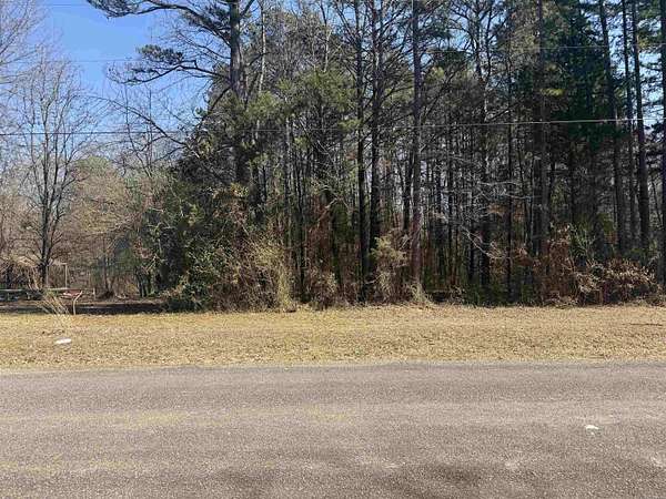 0.44 Acres of Residential Land for Sale in Heber Springs, Arkansas