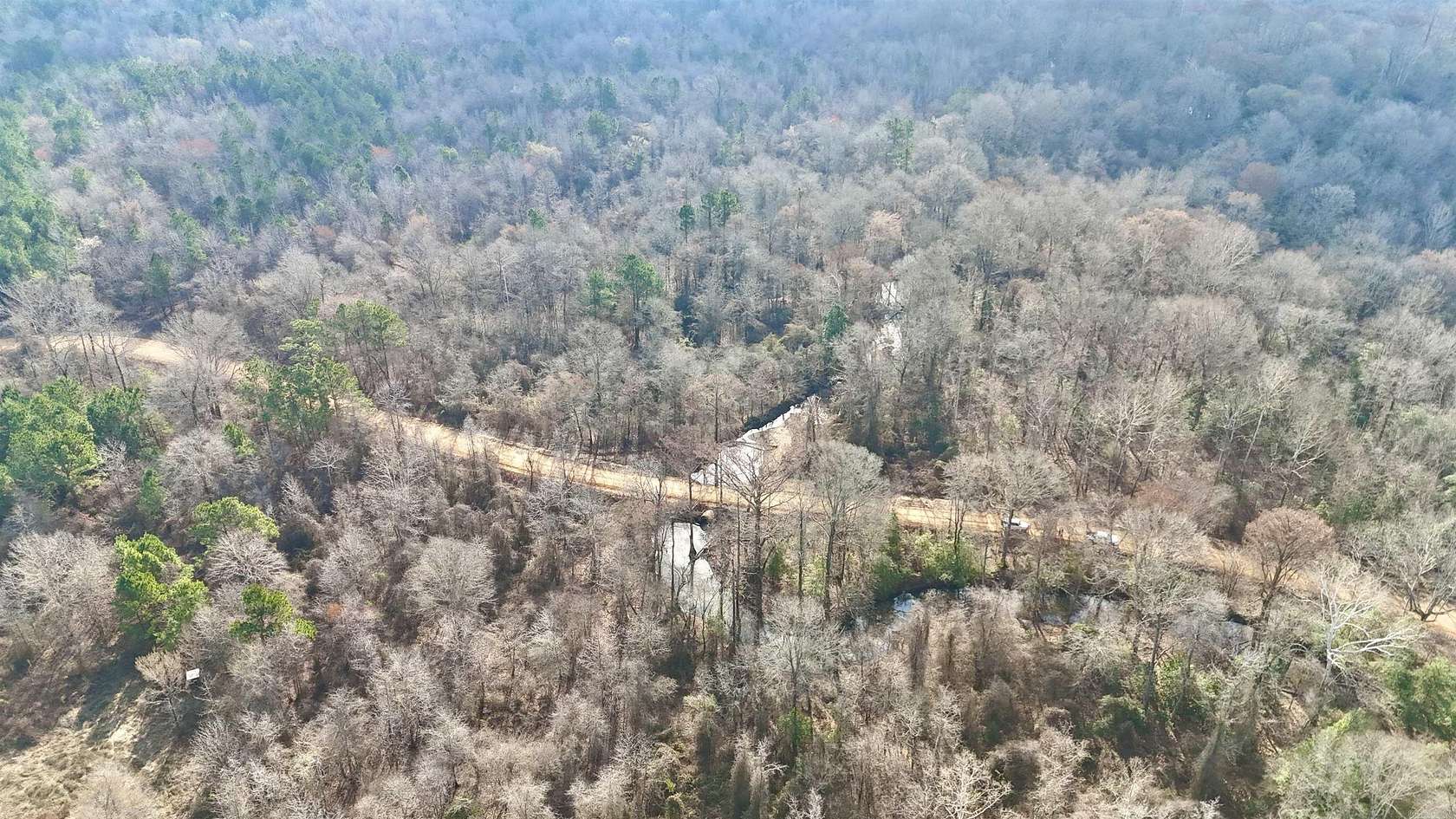 131 Acres of Recreational Land for Sale in Rison, Arkansas