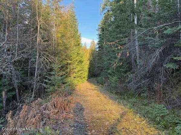 5.33 Acres of Residential Land for Sale in Harrison, Idaho