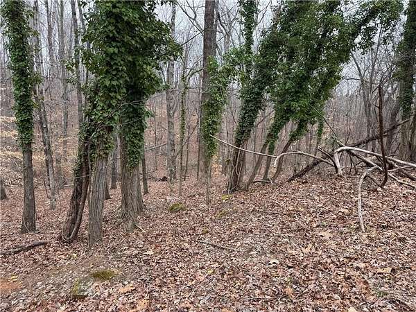 1 Acre of Residential Land for Sale in Gainesville, Georgia