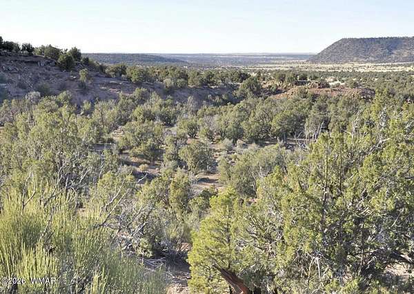 41.4 Acres of Land for Sale in Snowflake, Arizona