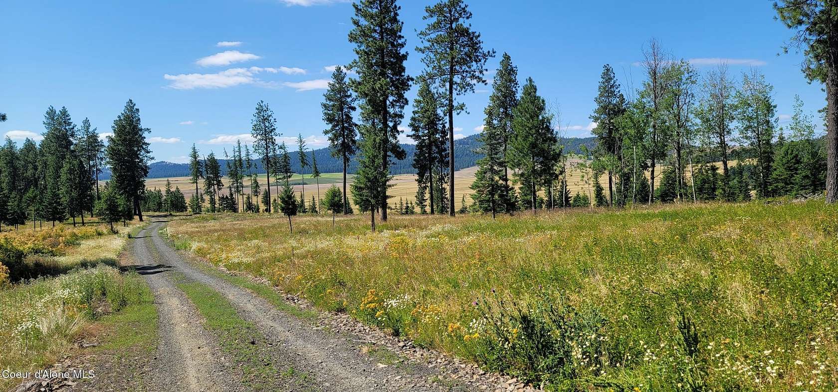 9 Acres of Residential Land for Sale in Plummer, Idaho
