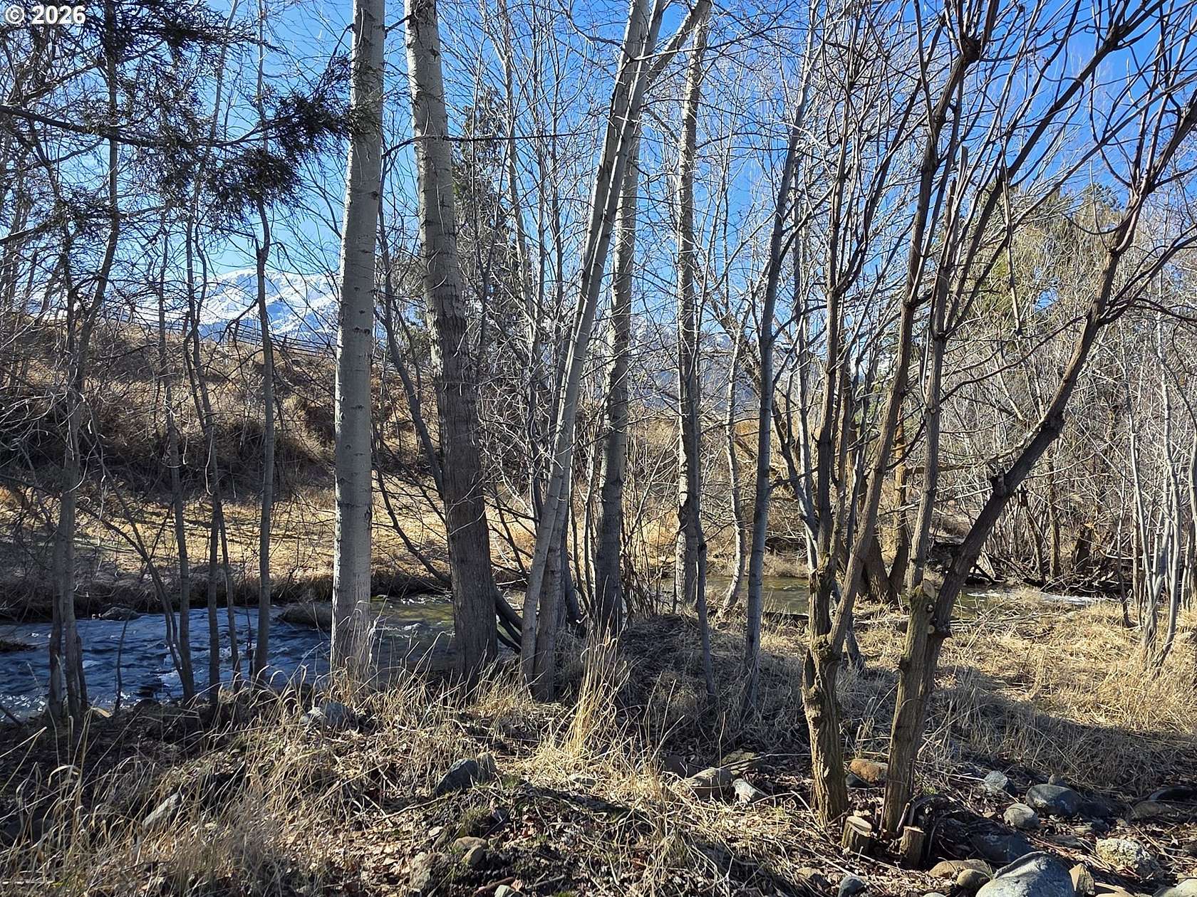 0.32 Acres of Residential Land for Sale in Joseph, Oregon