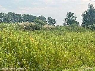 2.15 Acres of Residential Land for Sale in Webberville, Michigan