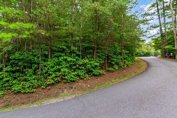 1 Acre of Residential Land for Sale in Blue Ridge, Georgia