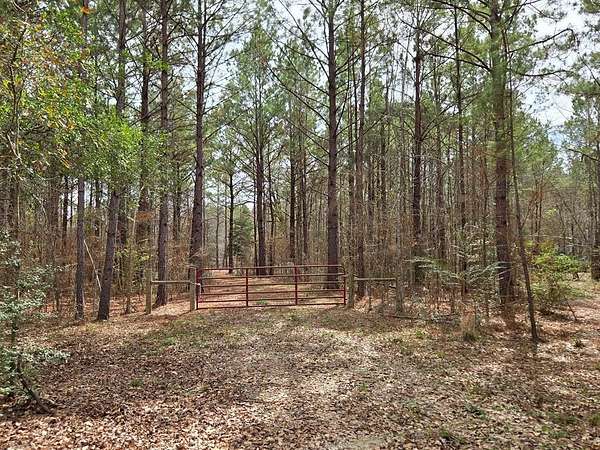 10.1 Acres of Recreational & Residential Land for Sale in Lufkin, Texas