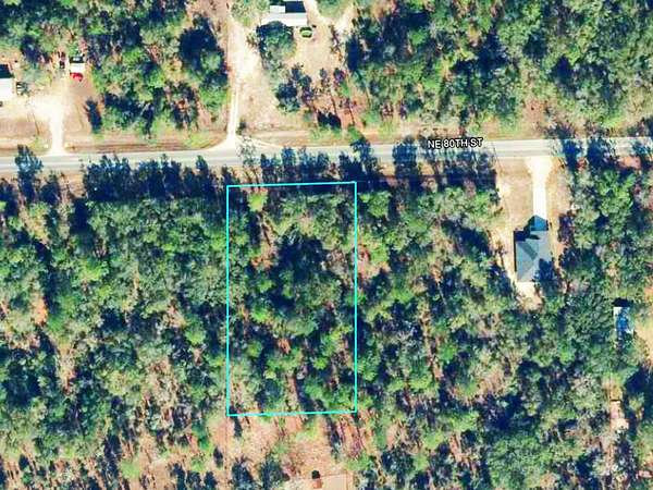 1.25 Acres of Residential Land for Sale in Bronson, Florida