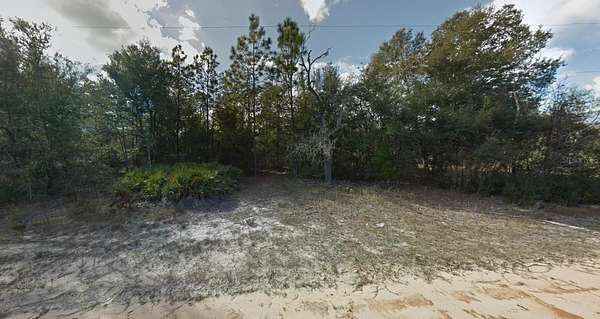 0.23 Acres of Residential Land for Sale in Interlachen, Florida