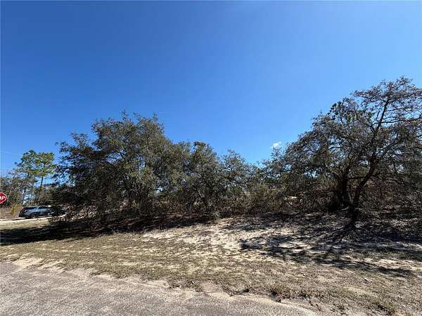 0.27 Acres of Residential Land for Sale in Citrus Springs, Florida