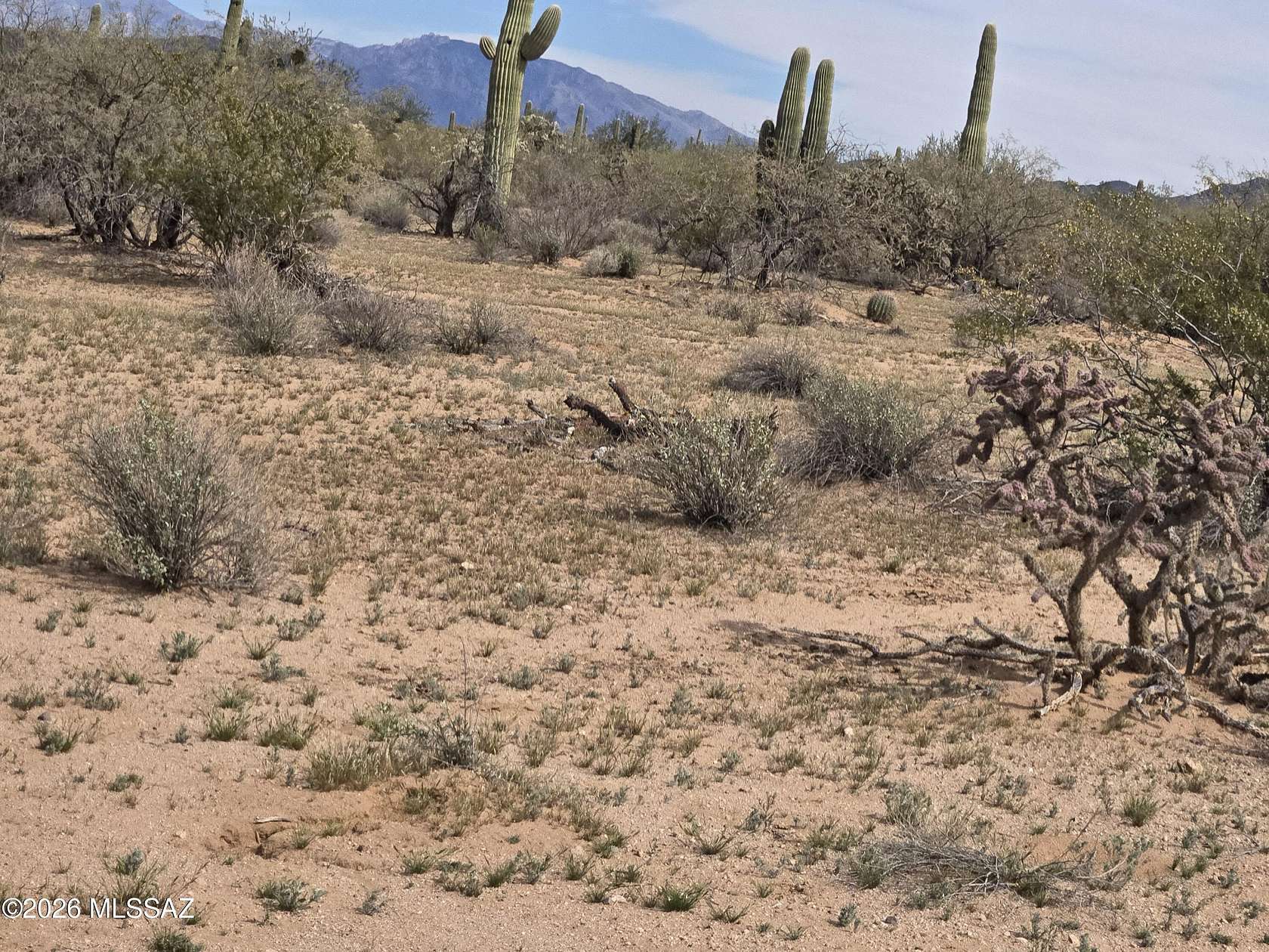 2.47 Acres of Residential Land for Sale in Tucson, Arizona