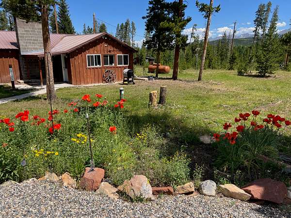 2 Acres of Residential Land for Sale in Walden, Colorado