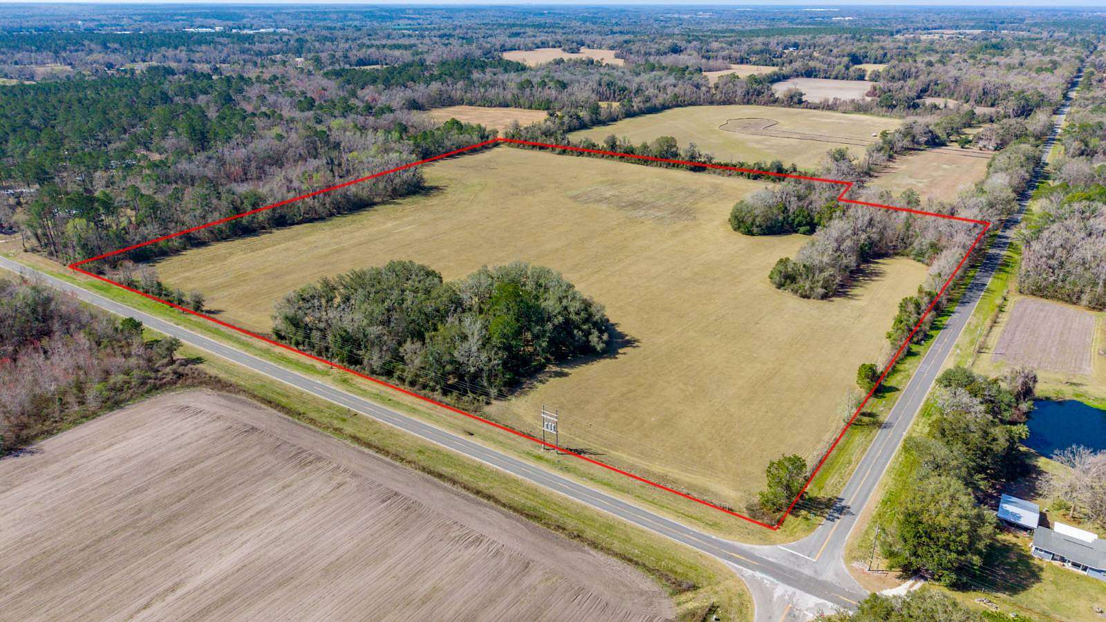 77.6 Acres of Agricultural & Residential Land for Sale in Alachua, Florida