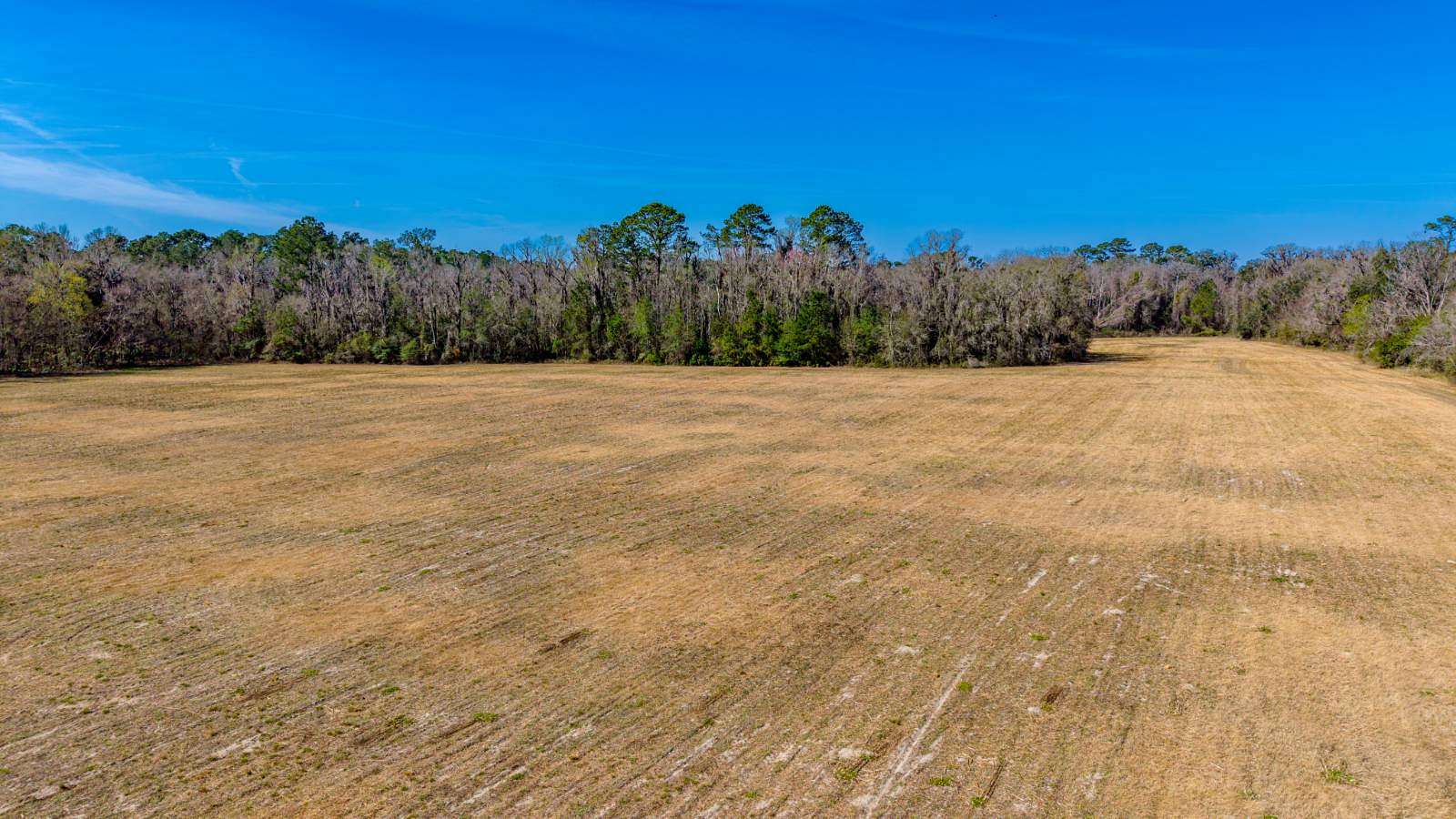77.6 Acres of Agricultural & Residential Land for Sale in Alachua, Florida