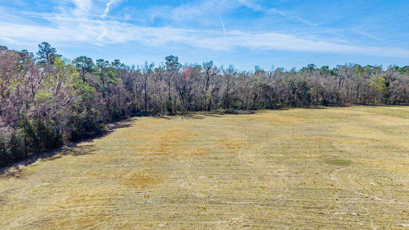 77.6 Acres of Agricultural & Residential Land for Sale in Alachua, Florida