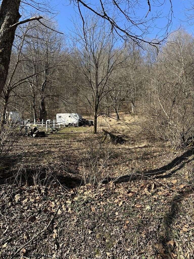 0.17 Acres of Residential Land for Sale in Selbyville, West Virginia