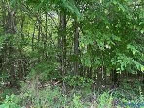 10 Acres of Residential Land for Sale in Beaverdam, Virginia