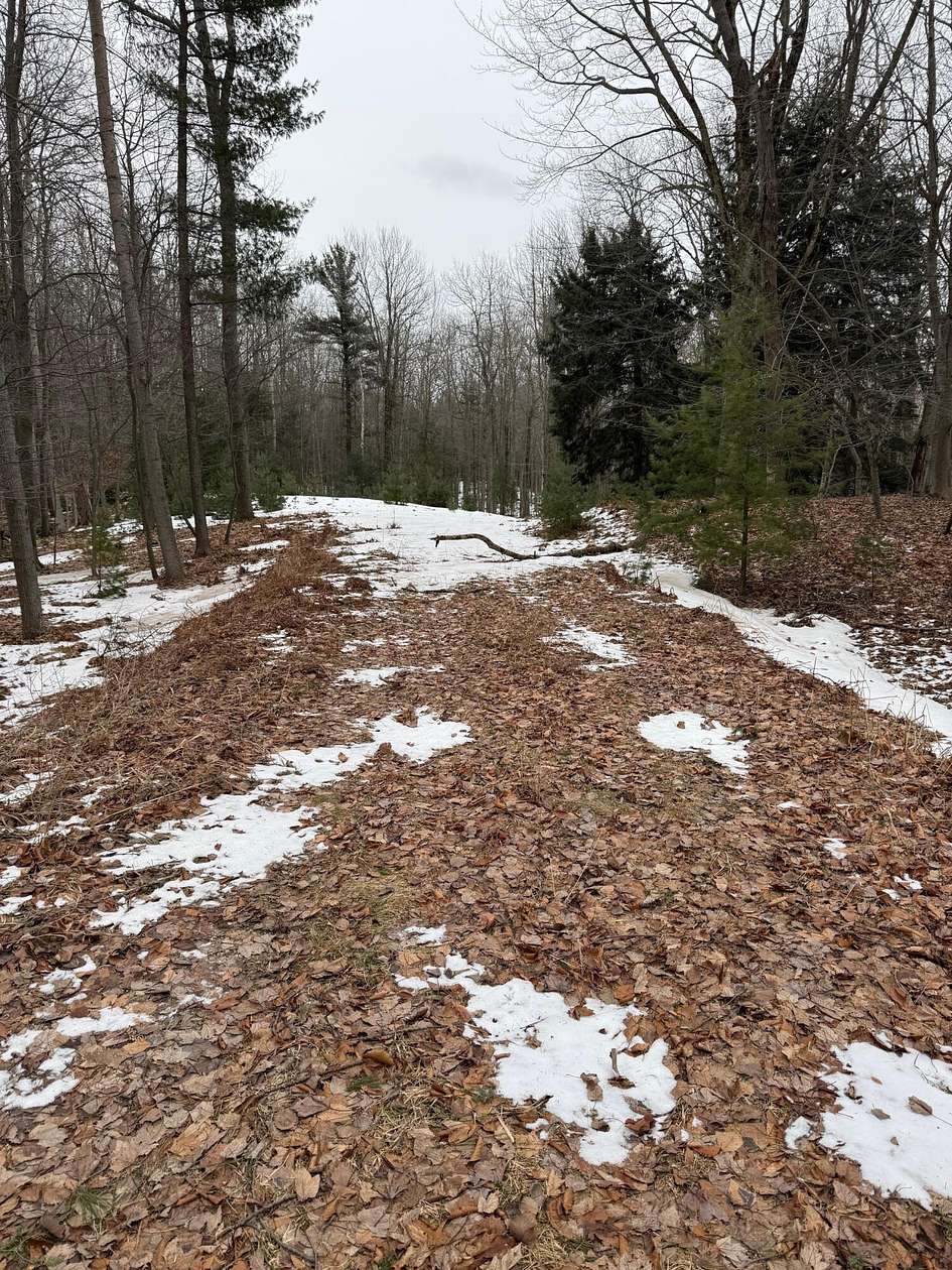 4.5 Acres of Residential Land for Sale in Manistee, Michigan