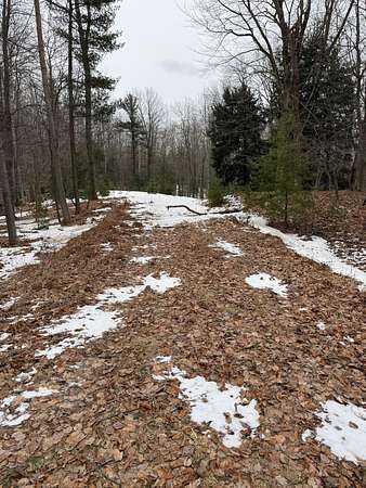 4.5 Acres of Residential Land for Sale in Manistee, Michigan