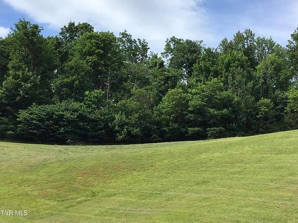 4.74 Acres of Residential Land for Sale in Kingsport, Tennessee