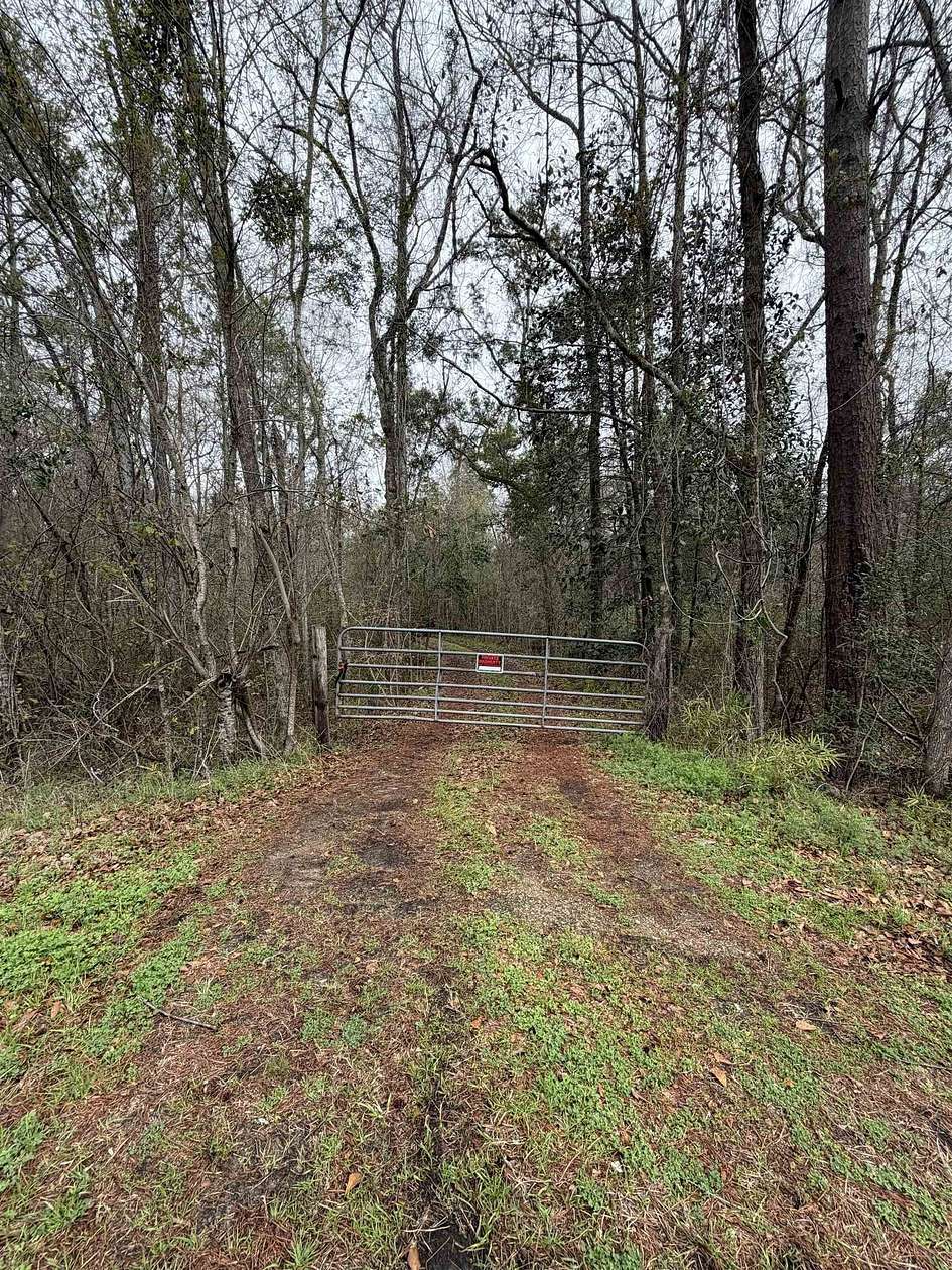 72.7 Acres of Recreational Land for Sale in Havana, Florida