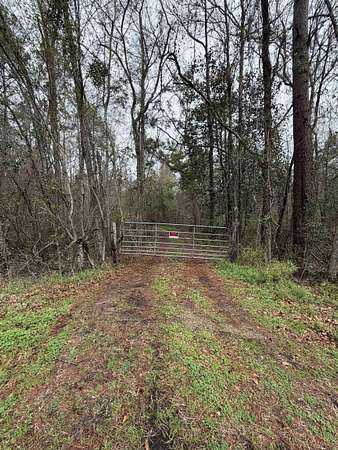 72.7 Acres of Recreational Land for Sale in Havana, Florida