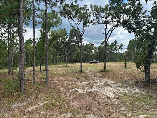4 Acres of Residential Land for Sale in Wildwood, Florida
