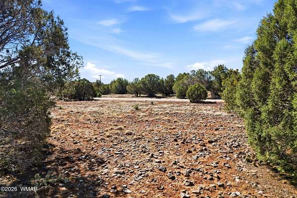 0.25 Acres of Residential Land for Sale in Show Low, Arizona