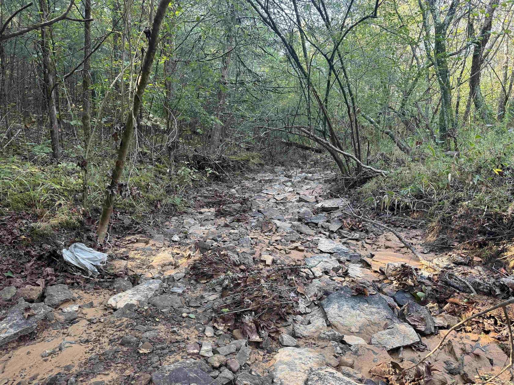 9 Acres of Residential Land for Sale in Bee Branch, Arkansas