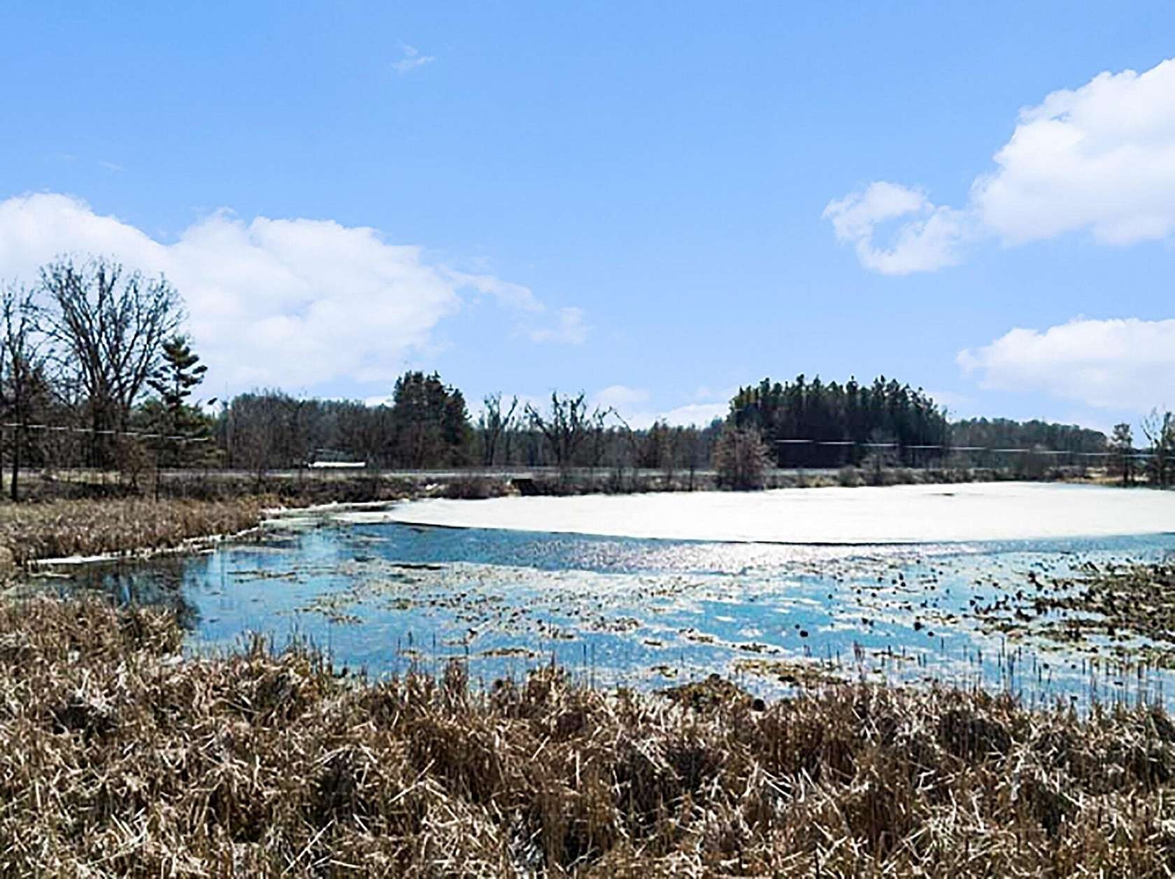 5 Acres of Land for Sale in Albion, Michigan