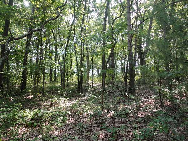 1.6 Acres of Residential Land for Sale in Grand Junction, Michigan