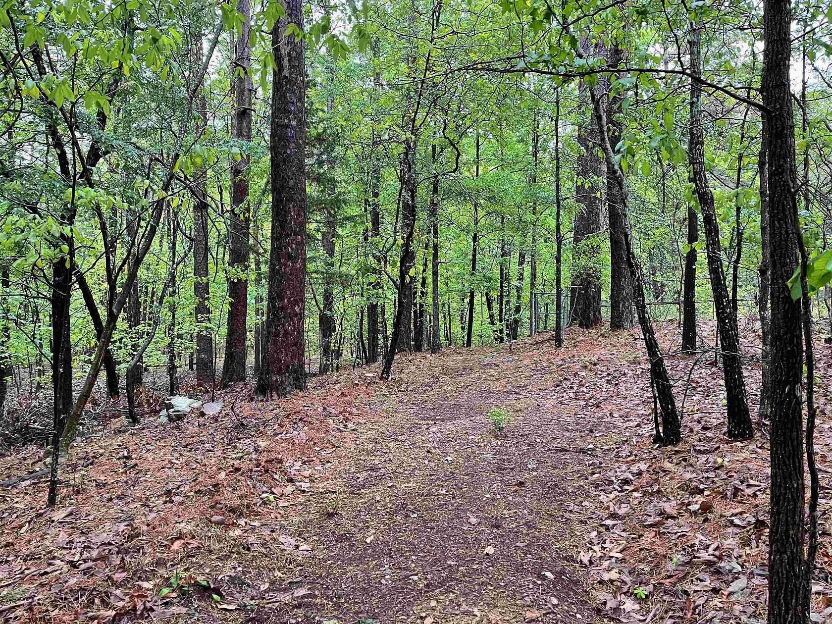 31 Acres of Recreational & Residential Land for Sale in Hot Springs, Arkansas