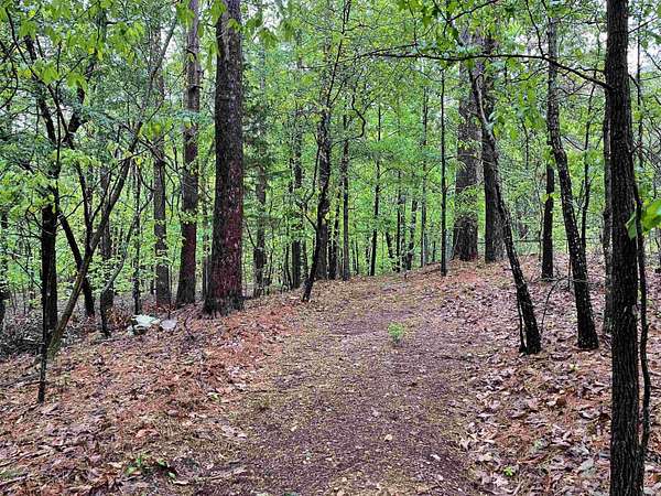 31 Acres of Recreational & Residential Land for Sale in Hot Springs, Arkansas