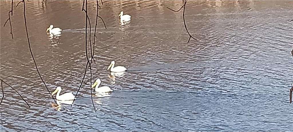 2.84 Acres of Land for Sale in Frankfort Town, Wisconsin