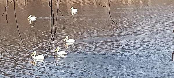 2.84 Acres of Land for Sale in Frankfort Town, Wisconsin