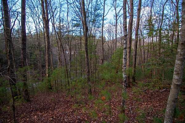 1.75 Acres of Land with Home for Sale in Cherry Log, Georgia
