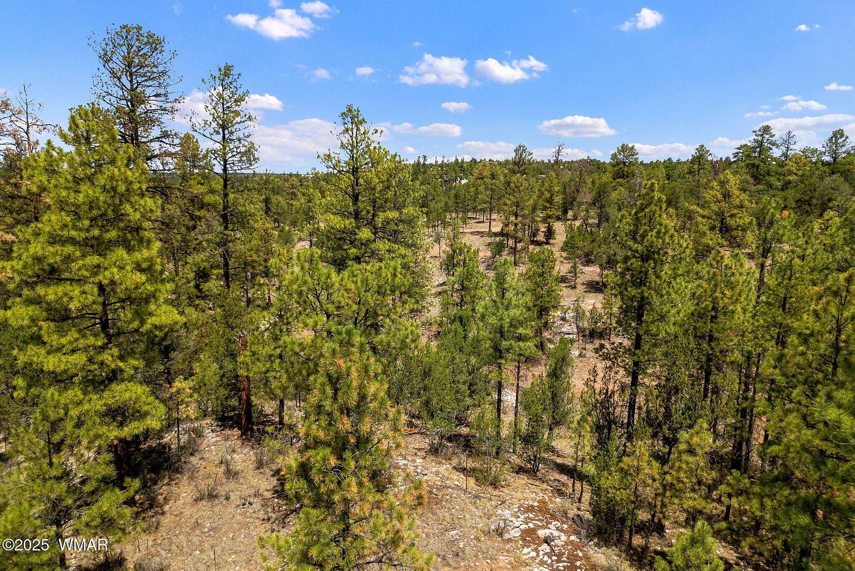 5 Acres of Residential Land for Sale in Heber, Arizona