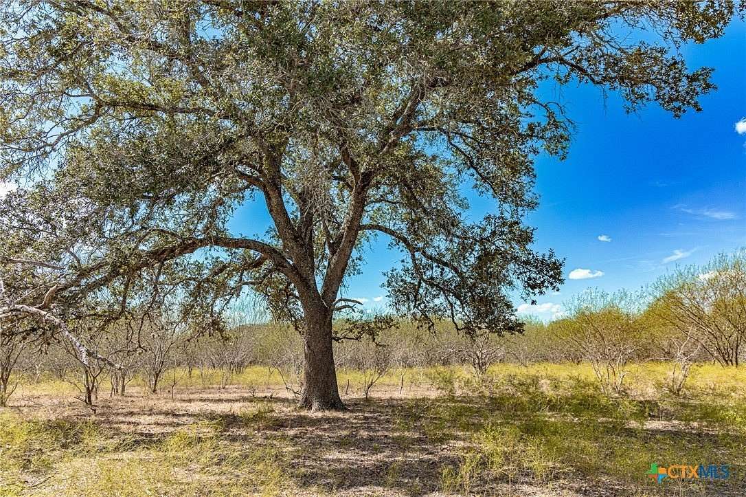 98.8 Acres of Recreational Land for Sale in Moulton, Texas