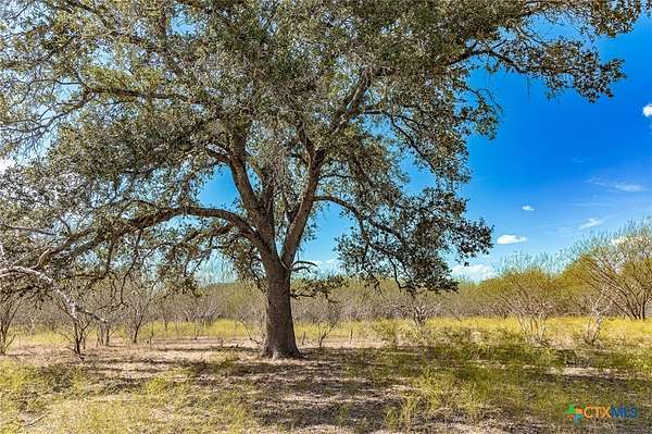 98.8 Acres of Recreational Land for Sale in Moulton, Texas