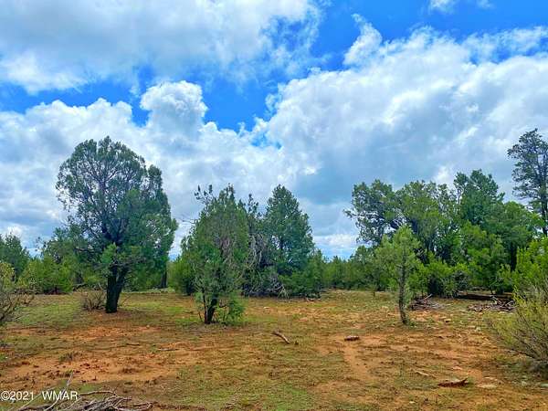 8 Acres of Residential Land for Sale in Heber, Arizona
