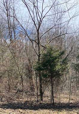 18 Acres of Recreational Land for Sale in Spencer, Indiana