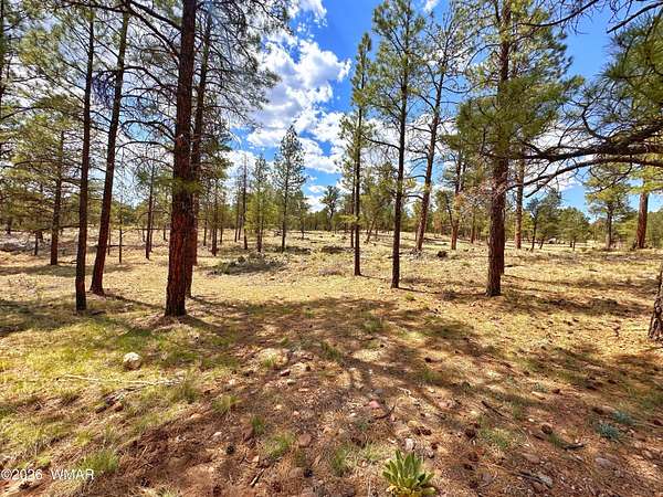 3.62 Acres of Residential Land for Sale in Heber, Arizona