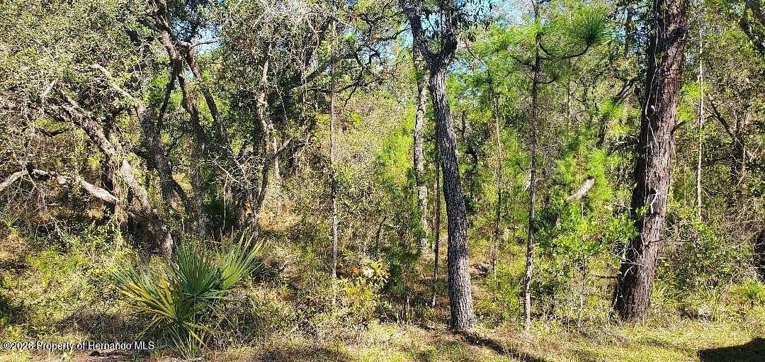 1.8 Acres of Residential Land for Sale in Weeki Wachee, Florida