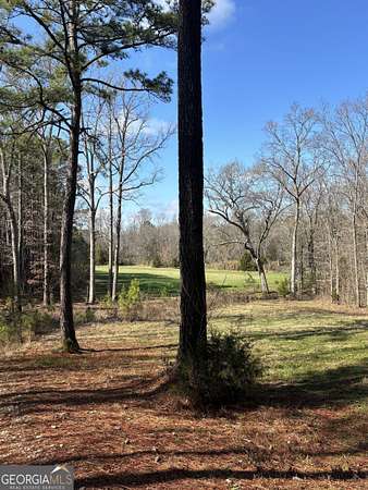 68.5 Acres of Recreational & Residential Land for Sale in Elberton, Georgia
