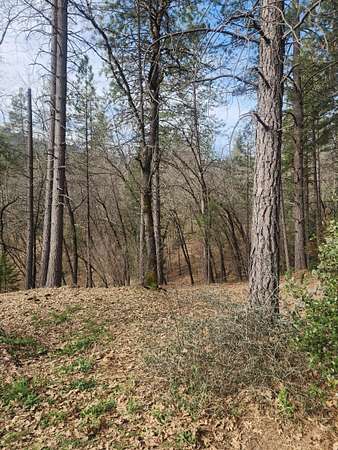 0.42 Acres of Residential Land for Sale in Lakehead, California