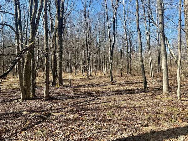7 Acres of Land for Sale in Grafton, West Virginia